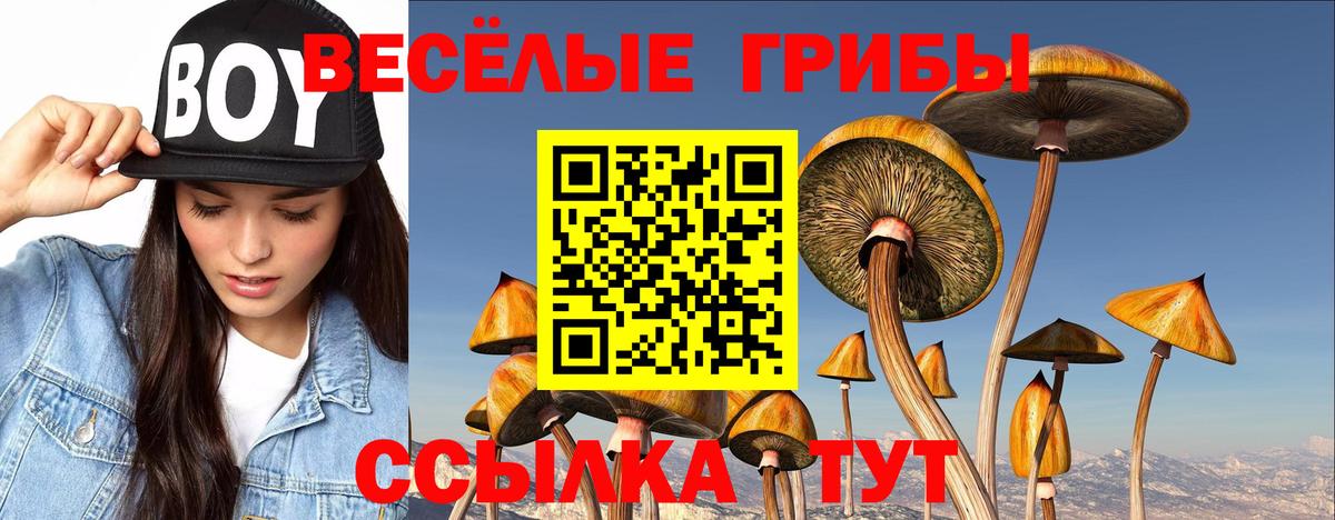 Краснодар  Псилоцибиновые грибы мухоморы  Вход с VPN  Галлюциногенные грибы мухоморы 